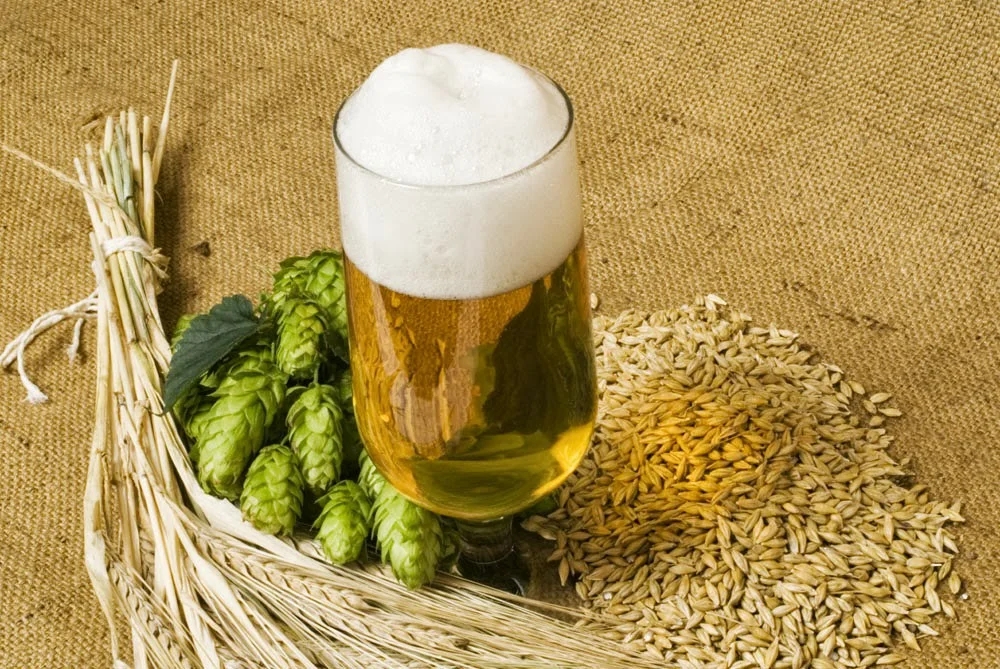 How to do dry hopping during beer fermentation when use